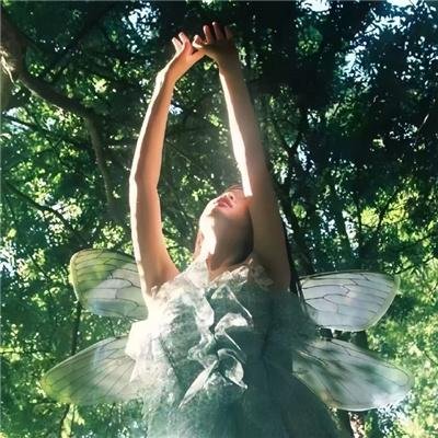 游戏大佬玩转规则世界