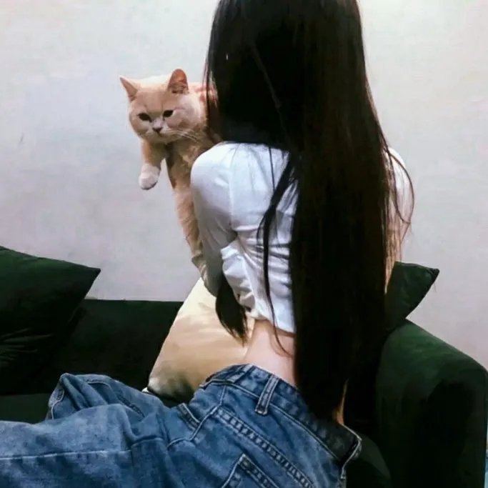 会计师2